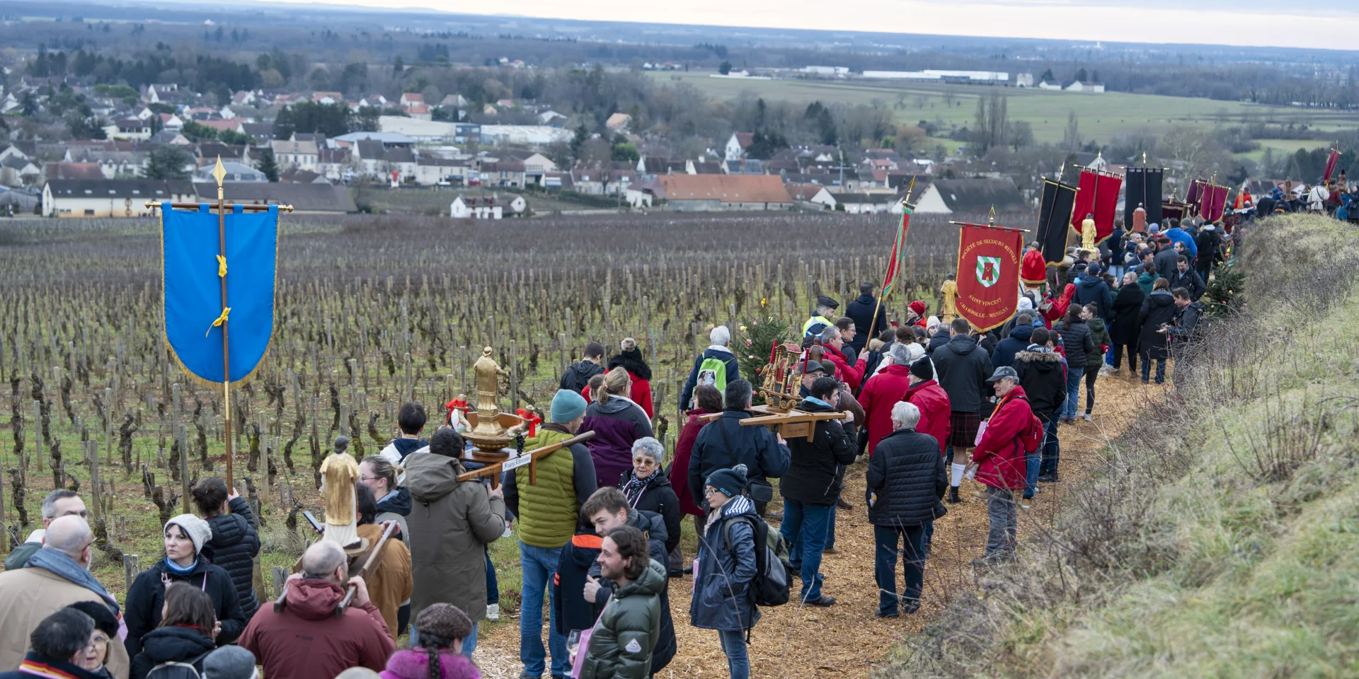 Saint-Vincent Tournante - Ladoix-Serrigny