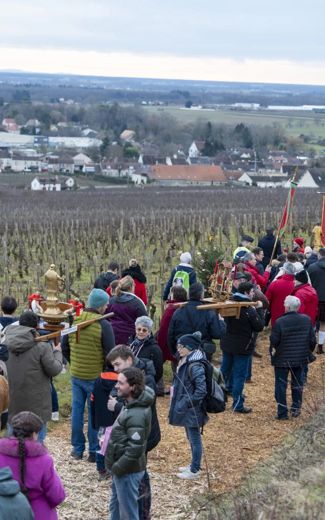 Saint-Vincent Tournante - Ladoix-Serrigny