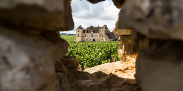 Château du Clos de Vougeot