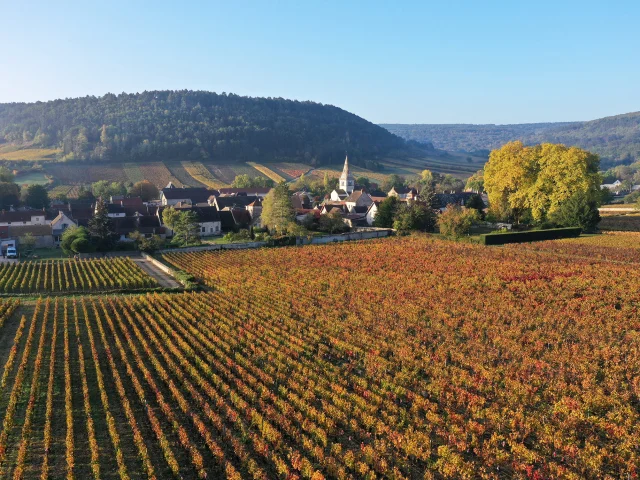 Auxey-Duresses en automne