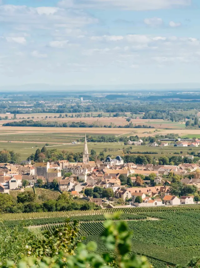 Ville de Meursault
