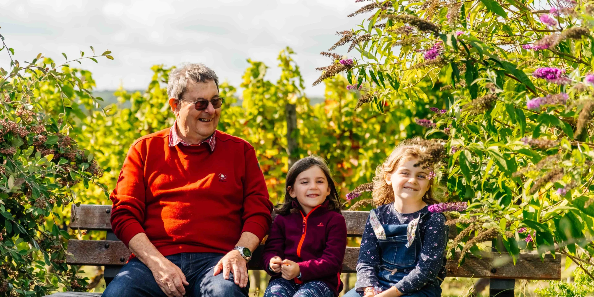 Domaine Thevenot - Route des Grands Crus de Bourgogne