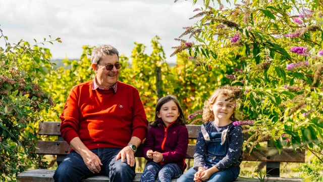 Domaine Thevenot - Route des Grands Crus de Bourgogne