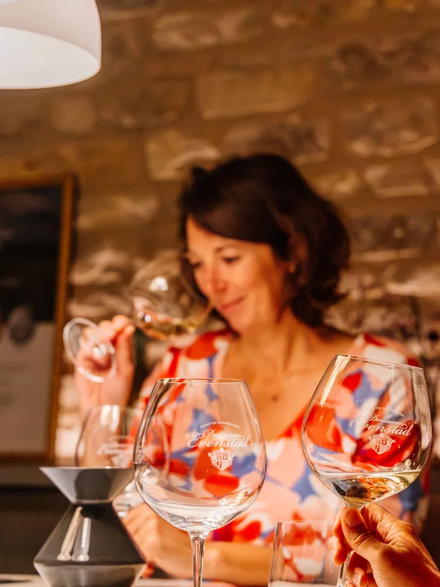 Domaine Evenstadt-Santenay