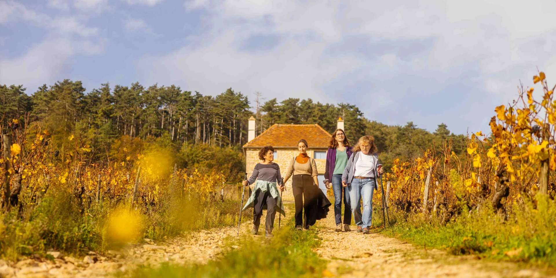 Route des Grands Crus de Bourgogne