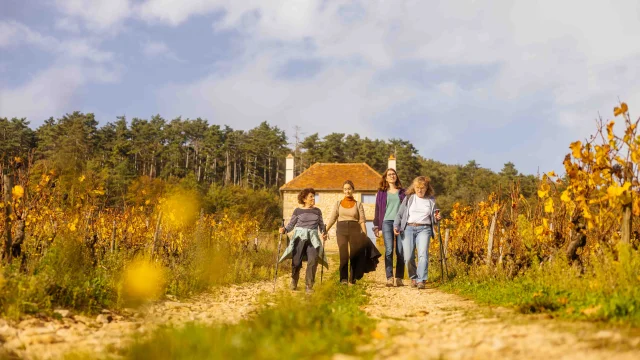 Route des Grands Crus de Bourgogne