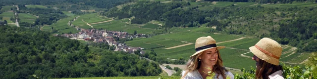 Balade dans les vignes