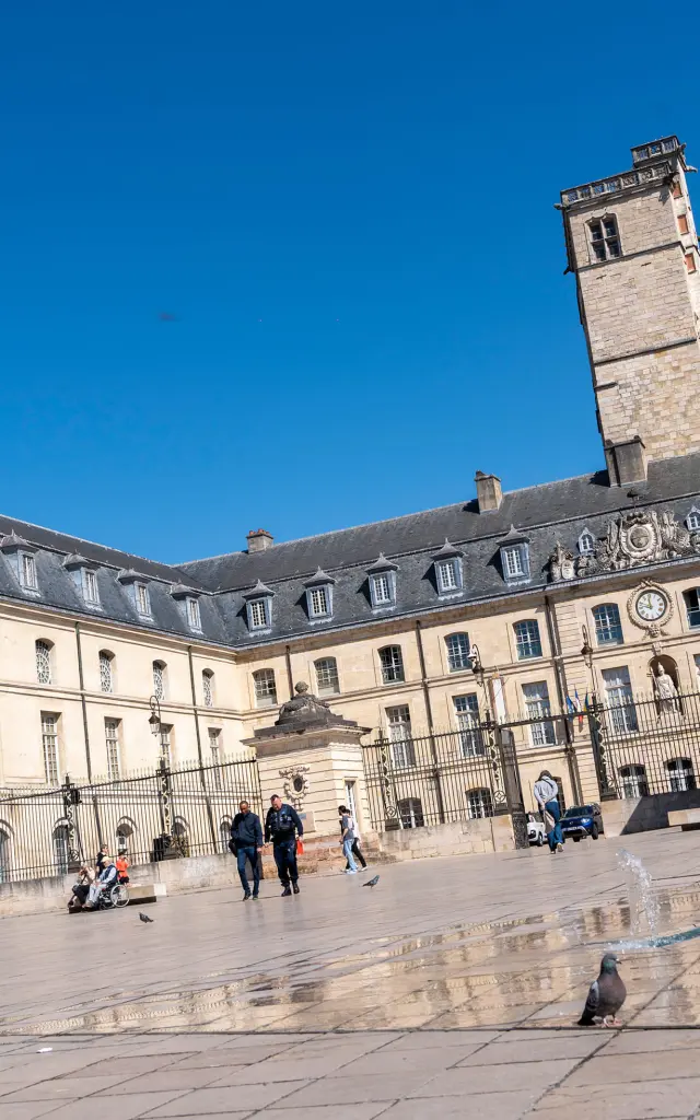 Palais des Ducs, place de la Libération - Centre-ville à Dijon