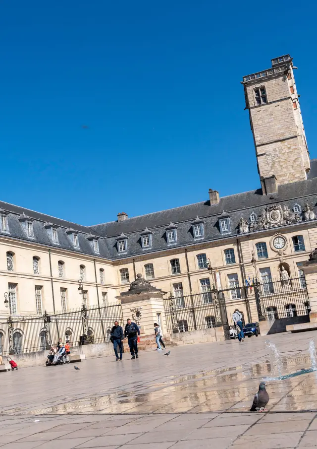 Palais des Ducs, place de la Libération - Centre-ville à Dijon