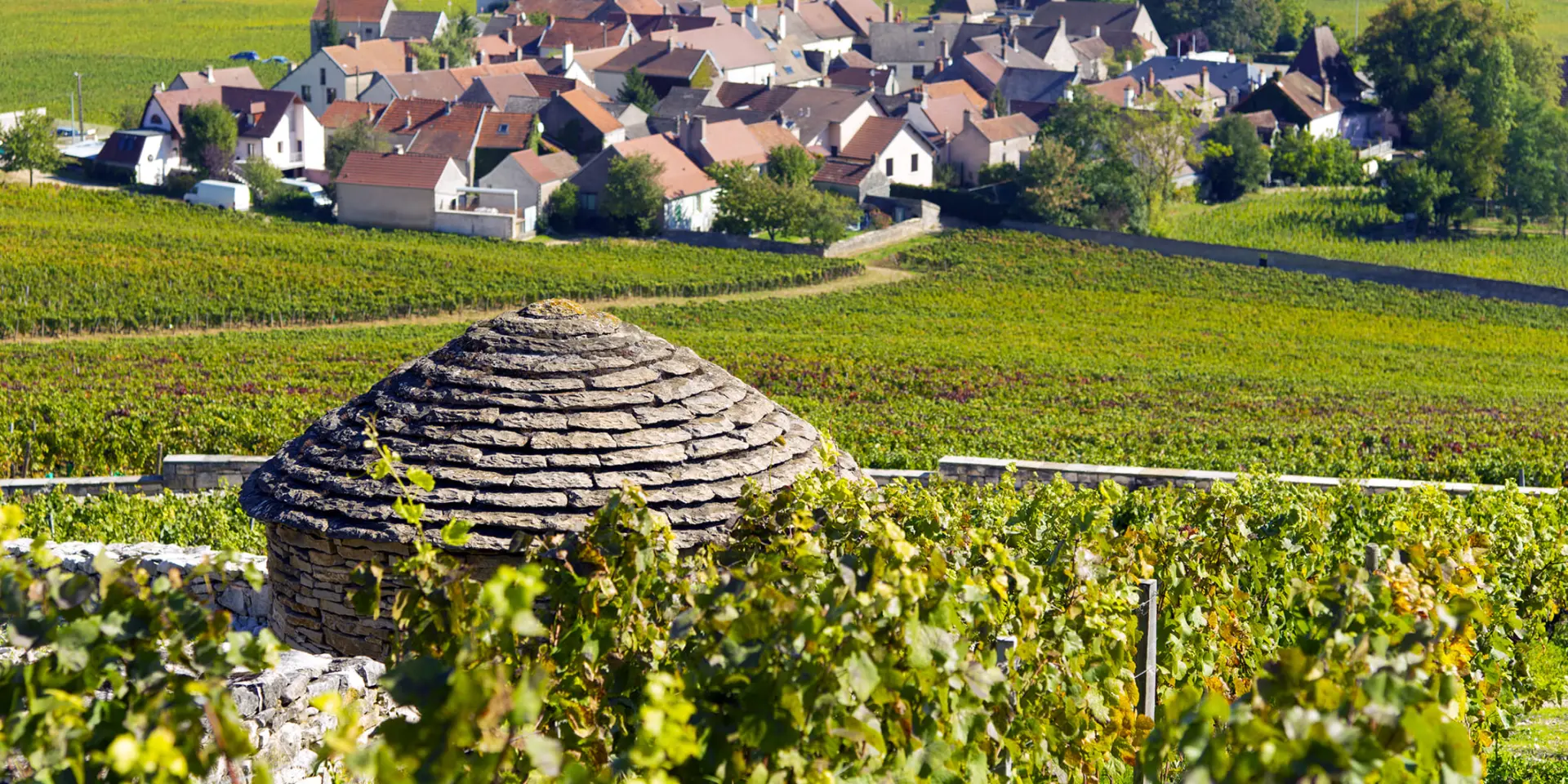 Cabotte au cœur du vignoble à Morey-Saint-Denis