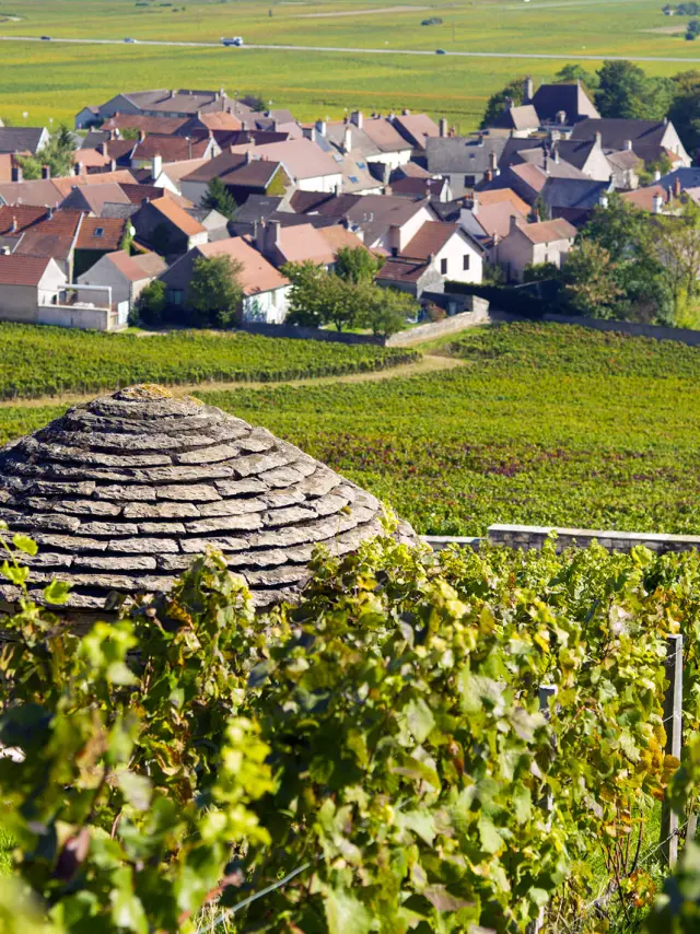 Cabotte au cœur du vignoble à Morey-Saint-Denis