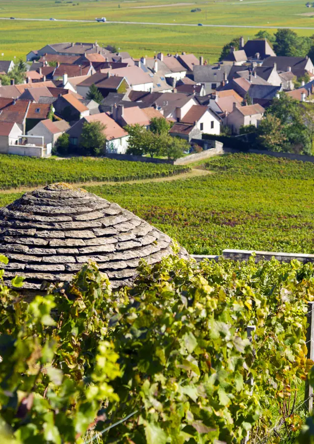 Cabotte au cœur du vignoble à Morey-Saint-Denis