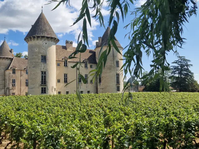 Château de Savigny-Les-Beaune