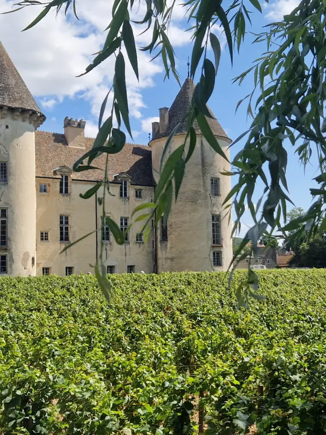 Château de Savigny-Les-Beaune