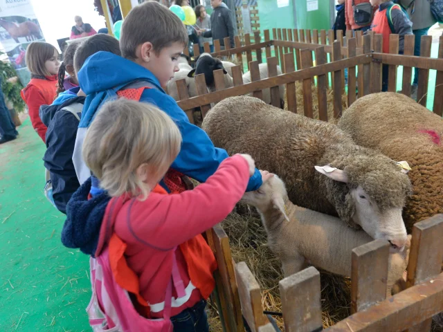 Foire Internationale & Gastronomique de Dijon - La Ferme Côte-d'Or