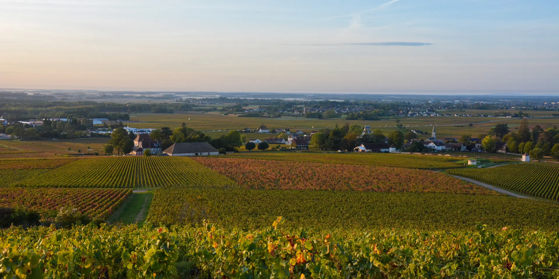 Village de Pernand-Vergelesses