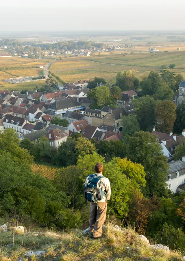 Randonnée à Chambolle-Musigny