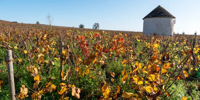 Savigny-lès-Beaune en automne