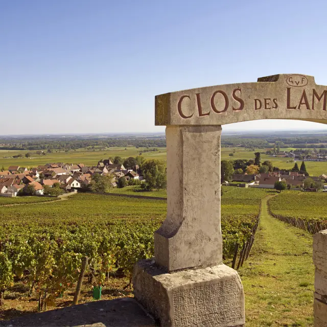 Clos des Lambrays à Morey-Saint-Denis