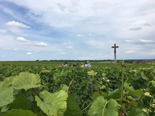 Vignoble de Vosne-Romanée