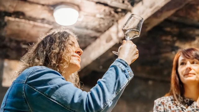 Domaine Rion - Vosne-Romanée