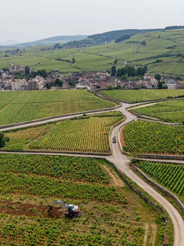 Side Car sur la Route des Grands Crus de Bourgogne