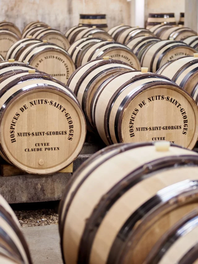 Hospices de Nuits-Saint-Georges _ vente des vins