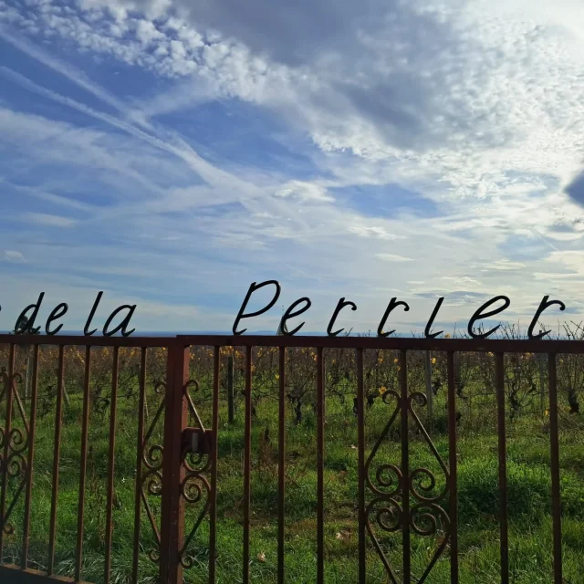 Instagram #routedesgrandscrusdebourgogne