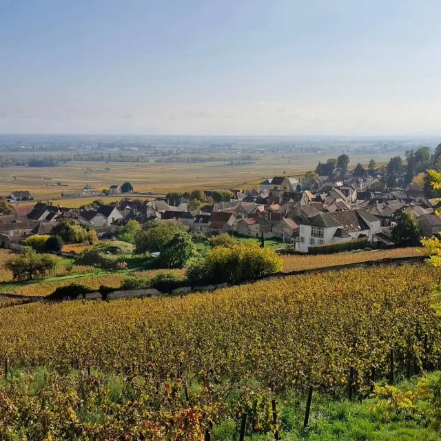 Instagram #routedesgrandscrusdebourgogne