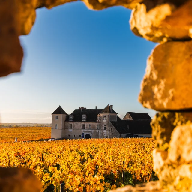 Instagram #routedesgrandscrusdebourgogne