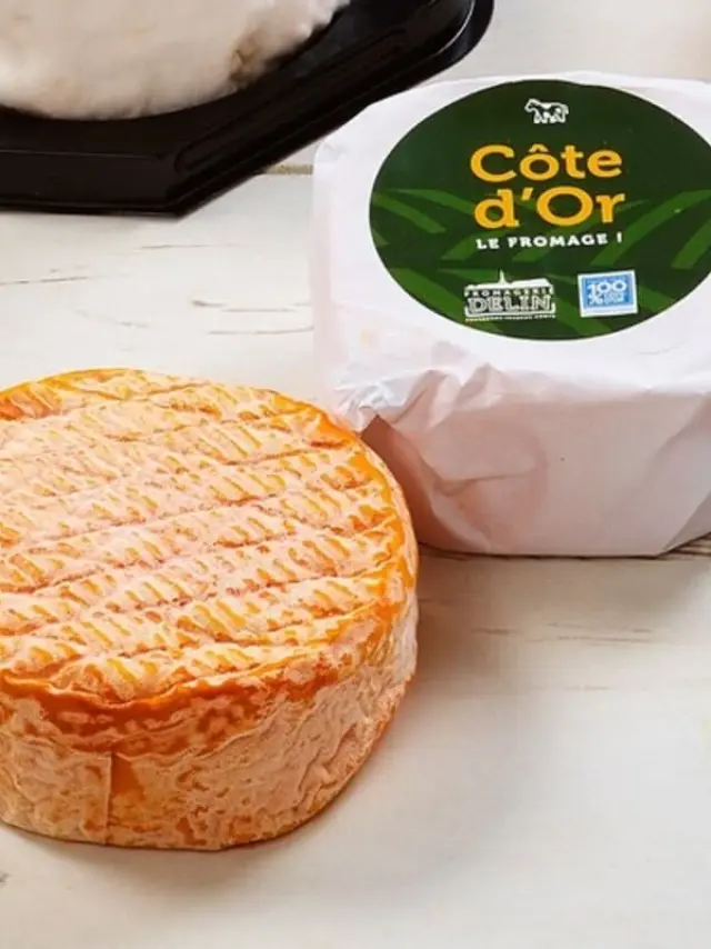 Fromage de la marque Savoir-Faire 100% Côte-d'Or
