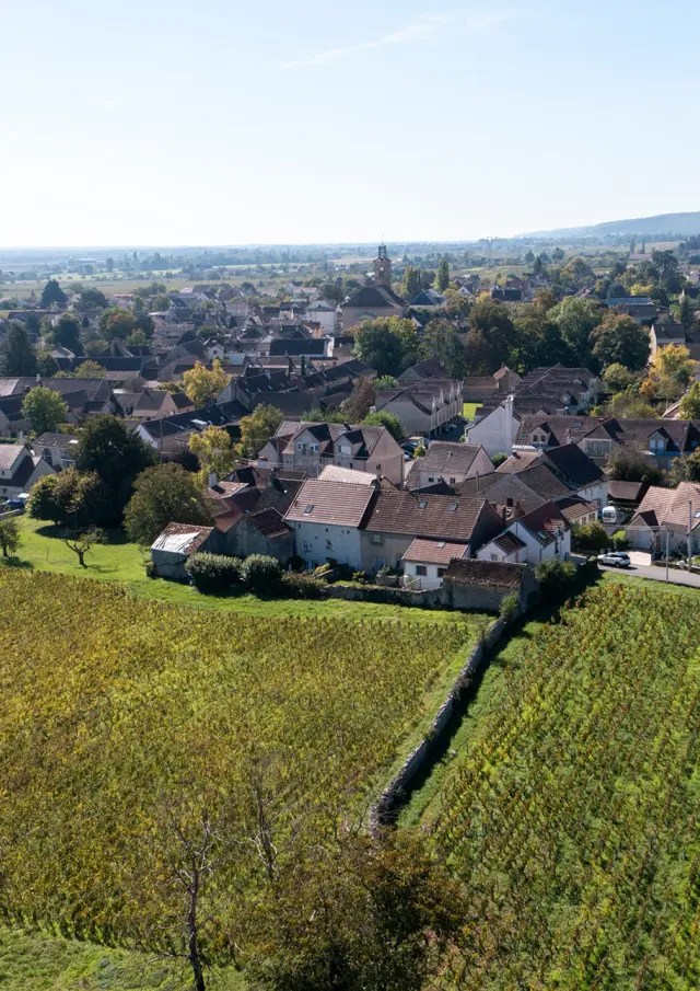 Village de Marsannay-la-Côte sur la Route des Grands Crus de Bourgogne