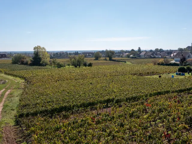 Village de Marsannay-la-Côte sur la Route des Grands Crus de Bourgogne
