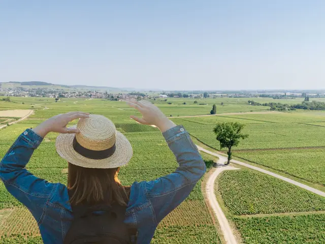 Vue Vignes Meursault