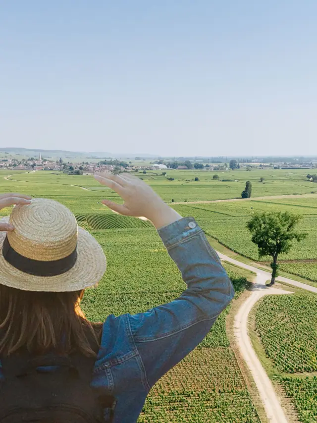 Vue Vignes Meursault