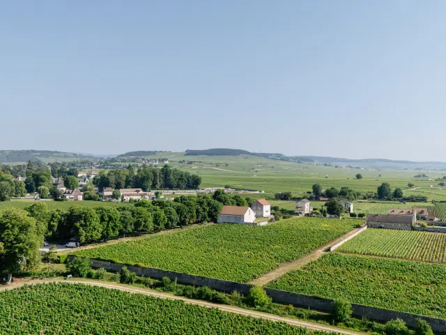 Clos château de Meursault