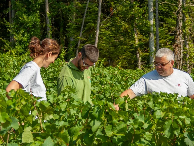Domaine Gavignet Philippe à Nuits-Saint-Georges