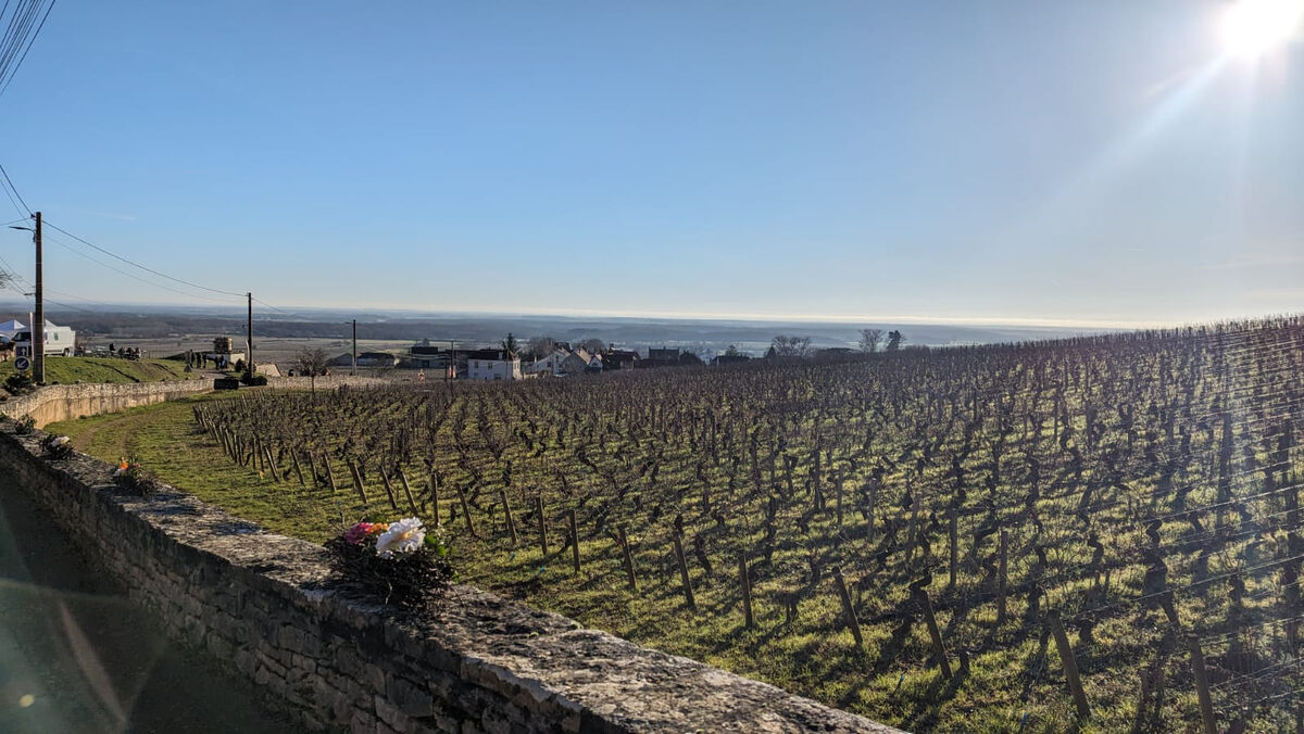 Morey-Saint-Denis en hiver