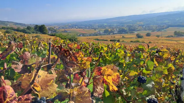 Les Marranges Marie Antoine