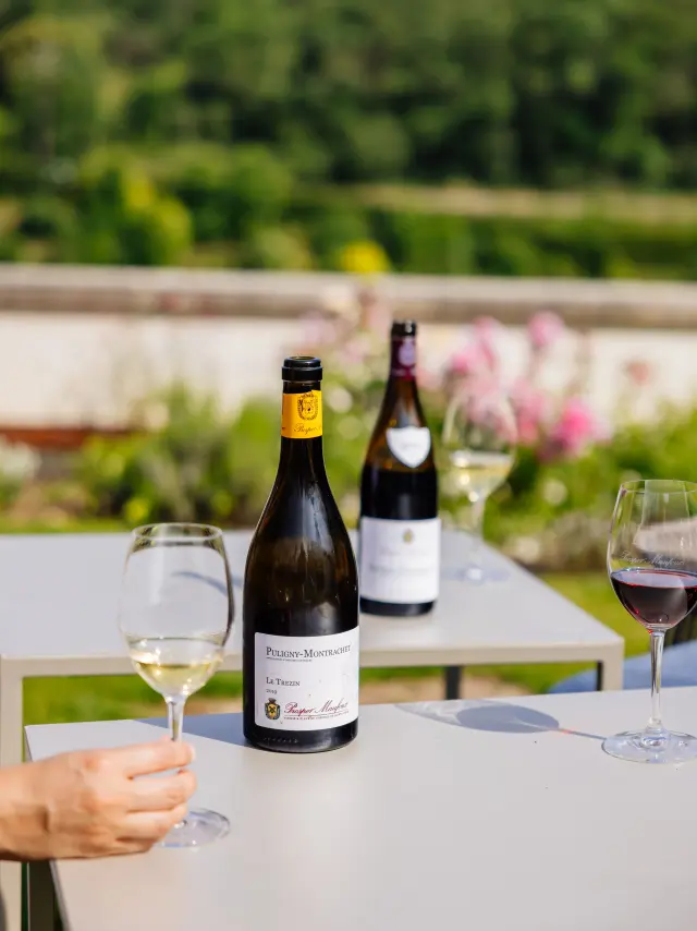 Chateau De Saint Aubin