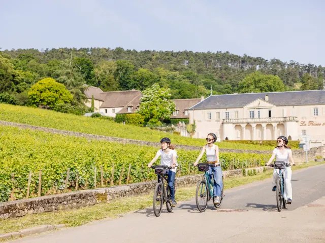 Velo sur la Voie Des Vignes - Volnay