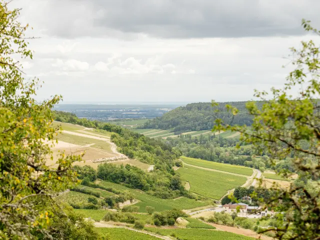 Saint-Romain - Route des Grands Crus de Bourgogne