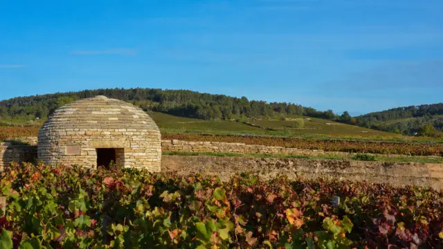 Côte-d'Or Attractivité