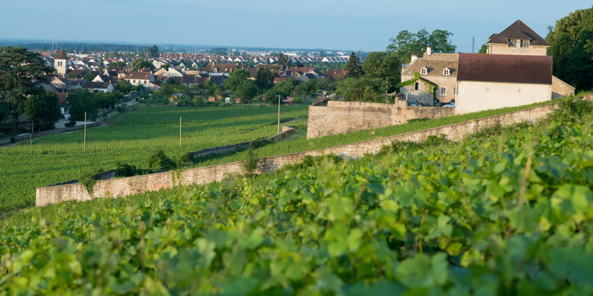 Chenôve sur la Route des Grands Crus de Bourgogne 