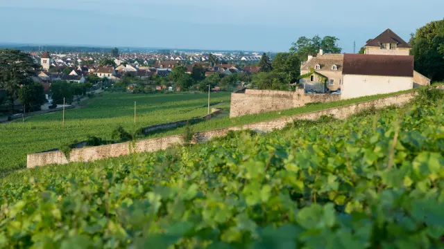 Chenôve sur la Route des Grands Crus de Bourgogne 