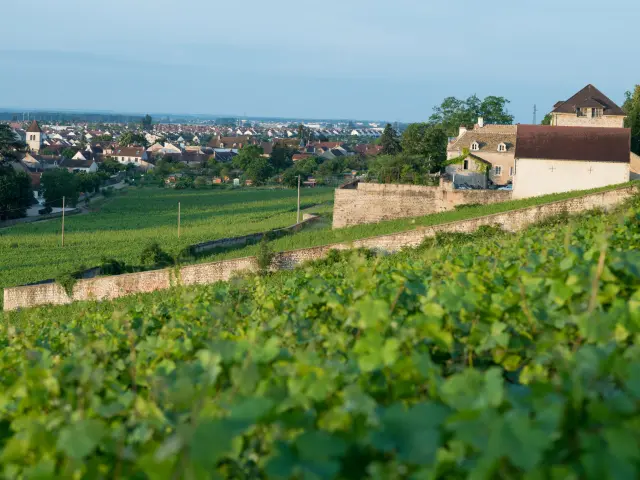 Chenôve sur la Route des Grands Crus de Bourgogne 
