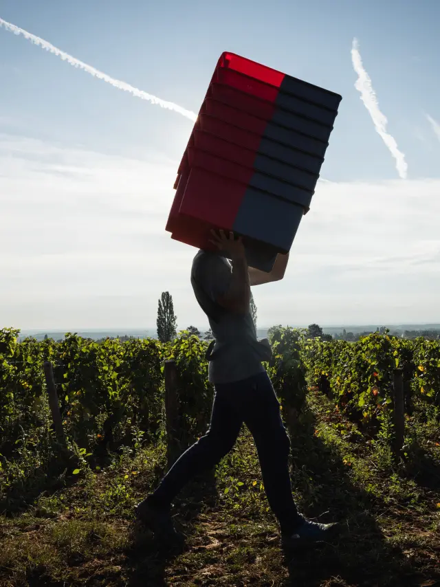 Couchey - Route des Grands Crus de Bourgogne