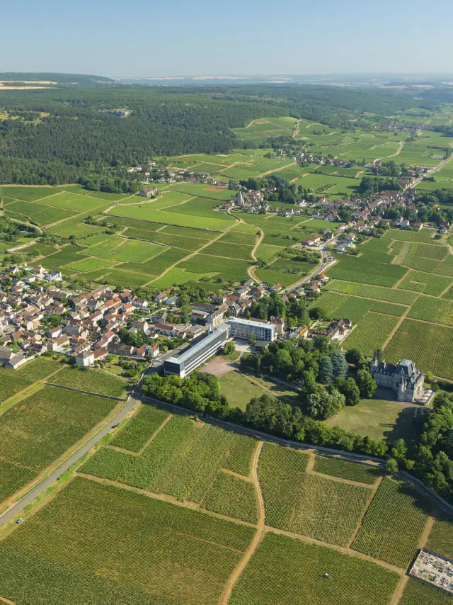 Brochon sur la Route des Grands Crus de Bourgogne