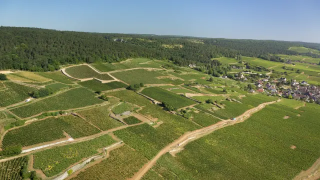 Brochon - Route des Grands Crus de Bourgogne