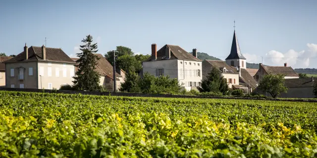 Chassagne-Montrachet - Route des Grands Crus de Bourgogne